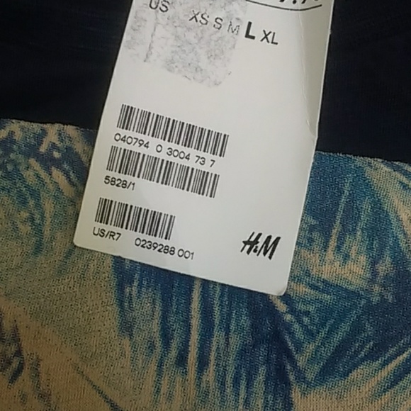 NWT H&M California Venice Beach Photo T Shirt - Picture 3 of 4